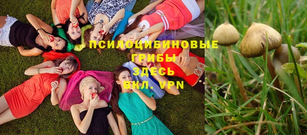 прущая мука Хадыженск