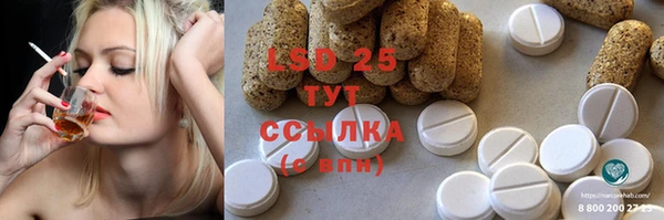 мдпв Кукмор